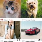 Image Calendar w Widget Cats Dogs Girls Cars Food ikona