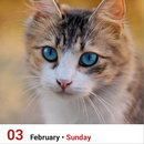 Daily Cat Calendar with Widget APK