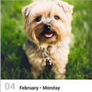 Daily Dog Calendar with Widget FriendlyCalendars APK