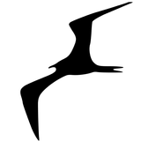 Frigate Viewer icono