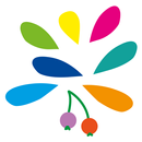 10e Montessorischool De Meidoo APK