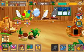 Bird Land: Pet Shop Bird Games Ekran Görüntüsü 2