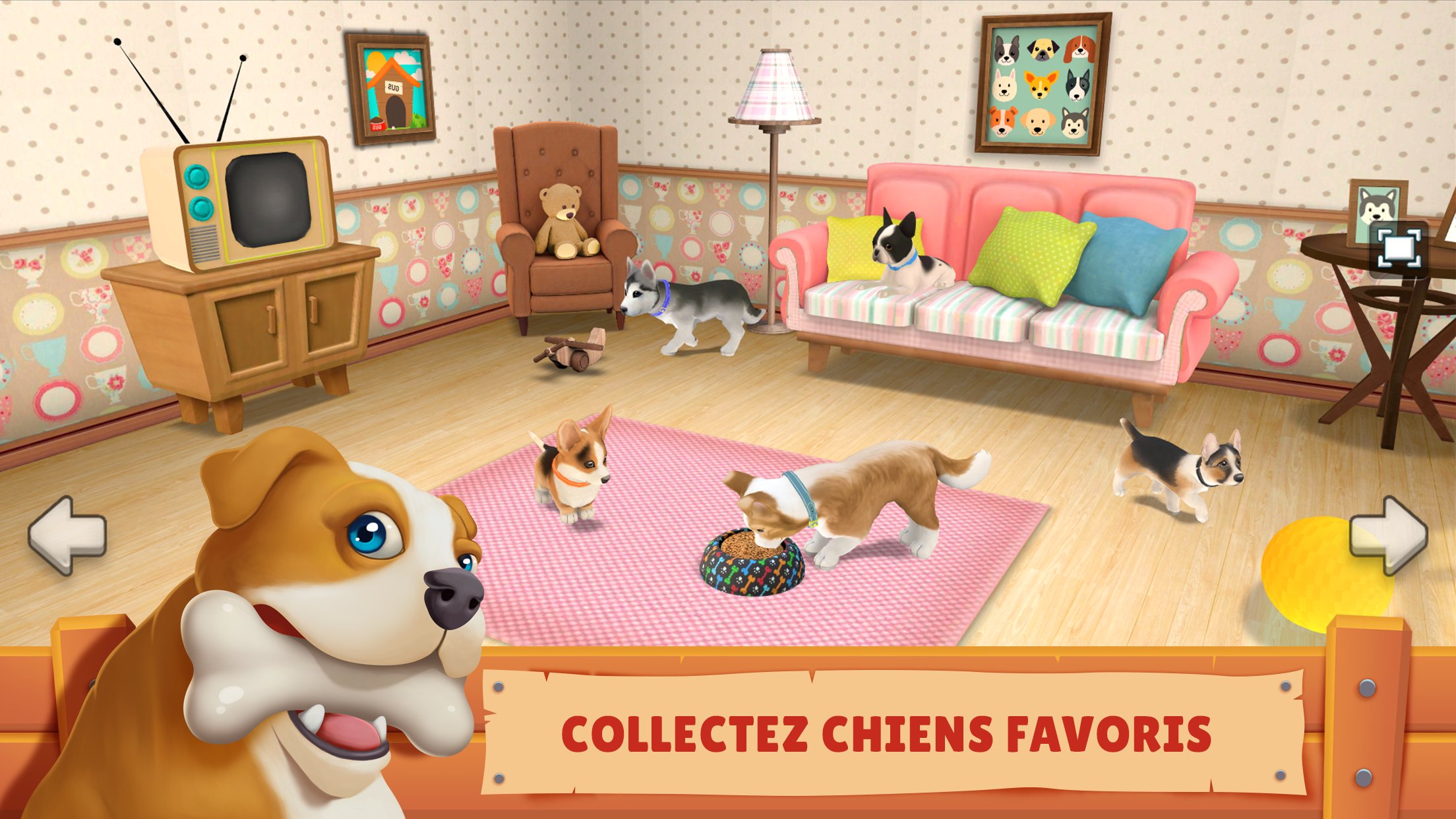 Chien Ville Jeu animalerie & Jouer avec le Chien pour