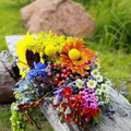 Spring HD Wallaper