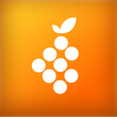 Frootify icono