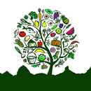 Frocals APK