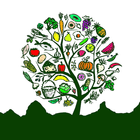 Frocals icon