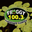 Froggy 100.3 icône