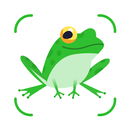 Frog Identifier: Toad, Frog ID APK