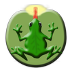 Frog Flashlight icon