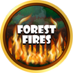 Forest Fires