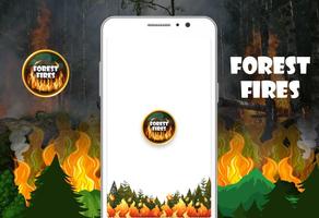 Forest Fires ポスター