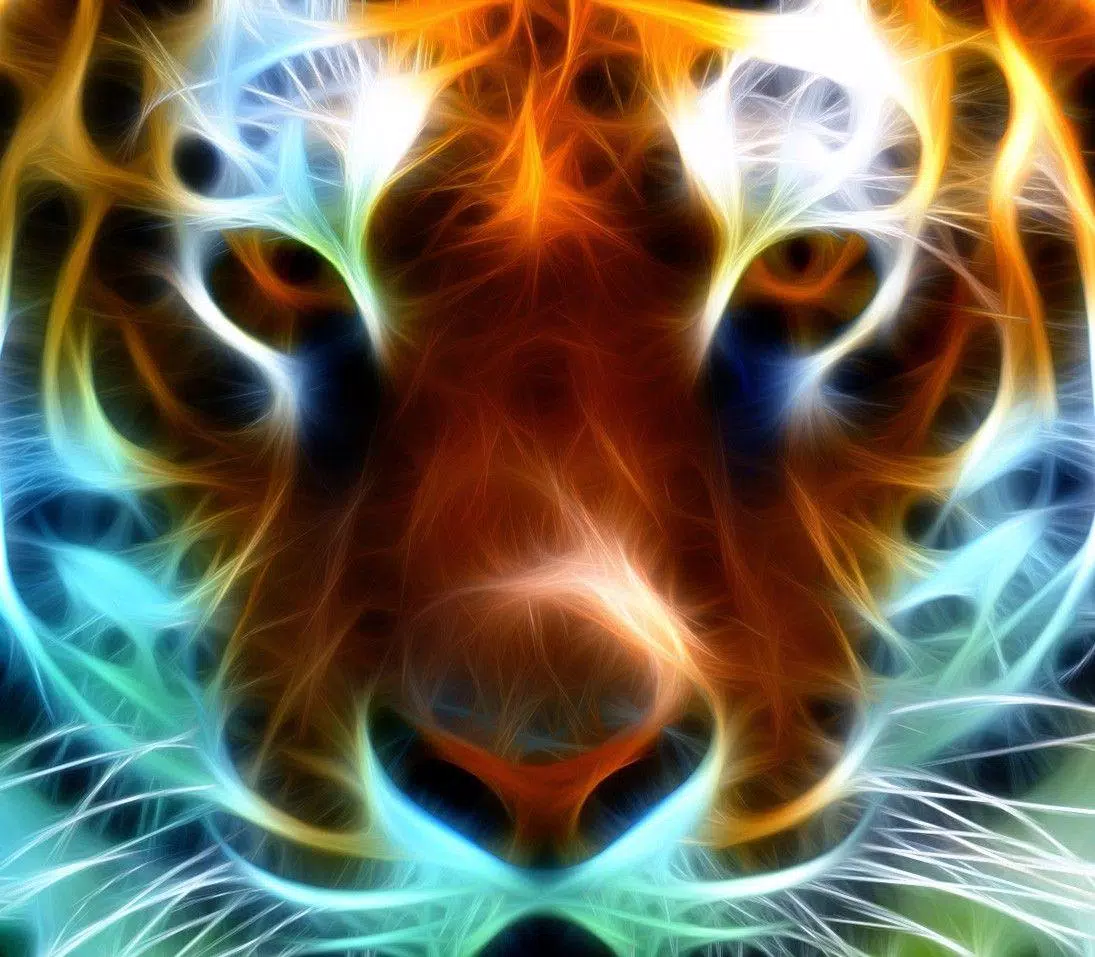 HD Neon Animals Wallpapers APK for Android Download HD Neon Animals Wallpapers APK for Android Download