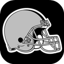 Wallpapers for Oakland Raiders APK