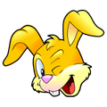 Max Bunny