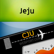 Jeju Airport (CJU) Info