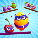 Fruit Sort Puzzle: Color Game APK