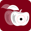 Fresh Fruit Detector - Check Fruits Quality