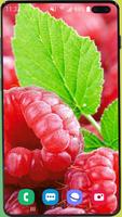 Fruit Wallpaper HD Screenshot 3