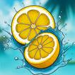 Fruit Cutter
