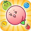 Fruit Fusion Fun APK