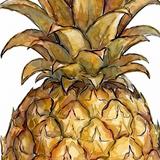 Fruitly: Botanical Trivia APK