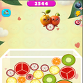 Fruit Merge