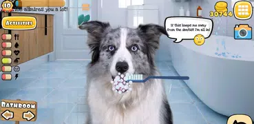 Fruwee: Real Pet Dog Simulator