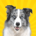 Real Pets™ by Fruwee
