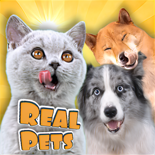 Real Pets de Fruwee