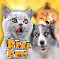 Real Pets: A pet on your phone XAPK download