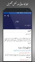 Offline Urdu Lughat Dictionary تصوير الشاشة 2