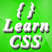 CSS - Learn Programming ícone
