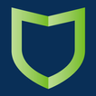 MetroNet Internet Security