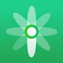 iFAN APK
