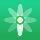 IFAN APK