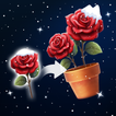 Blossom Arranger- Flower Match Zeichen