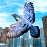 Wild Pigeon Birds Simulator 3D icône