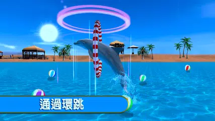 海 海豚 表明 APK 下載