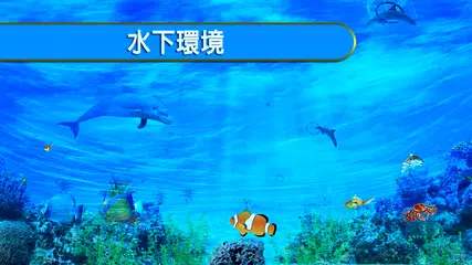 海 海豚 表明 APK 下載