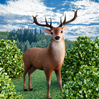 Hunting Games Deer Hunt Sniper icône