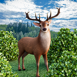 Hunting Games Deer Hunt Sniper-APK