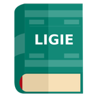 LIGIE 2020 - Ley de los Impuestos Generales de Imp ikon