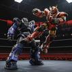 Robot Fighting Wrestling Ring icône