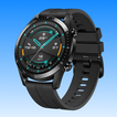 Huawei Watch GT 2 App icon