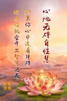 「卢台长」白话佛法广播 скриншот 2