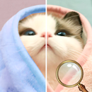 Find Differences 200 Levels APK