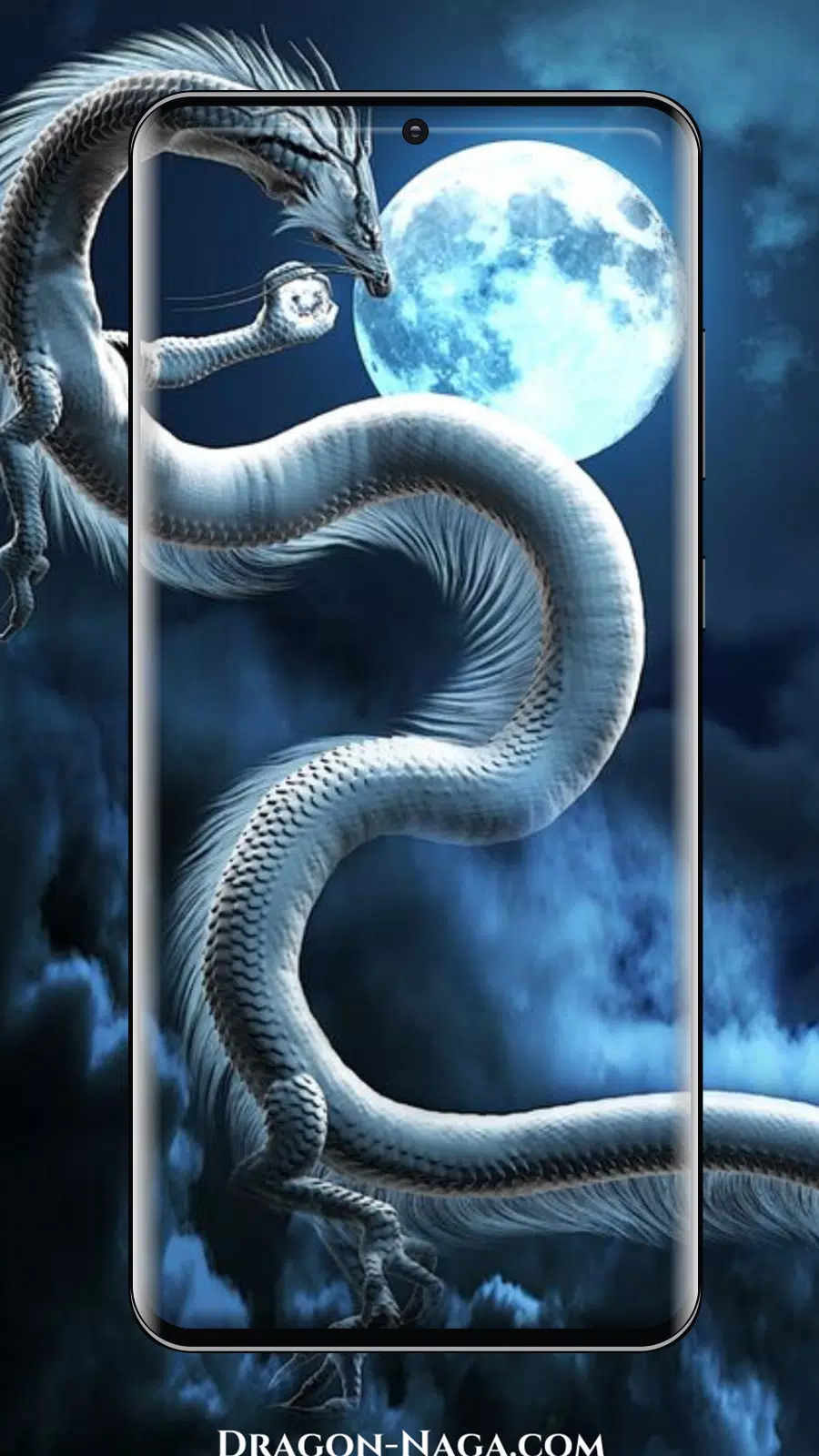 Dragon Wallpaper APK for Android Download Dragon Wallpaper APK for Android Download