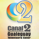 Canal 2 Gualeguay - Entre Rios-APK
