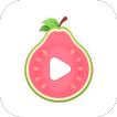 Guava Cuts